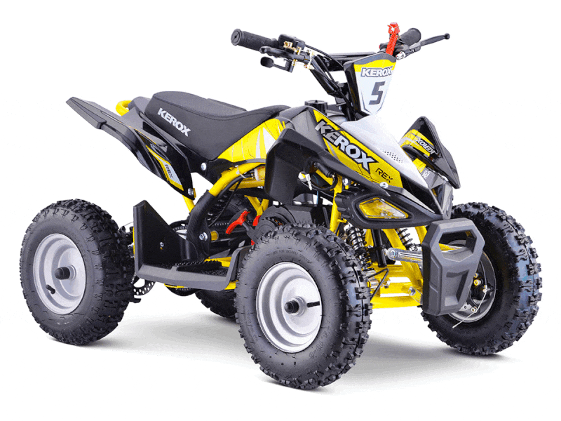 Quad 50cc REX BW6 Jaune